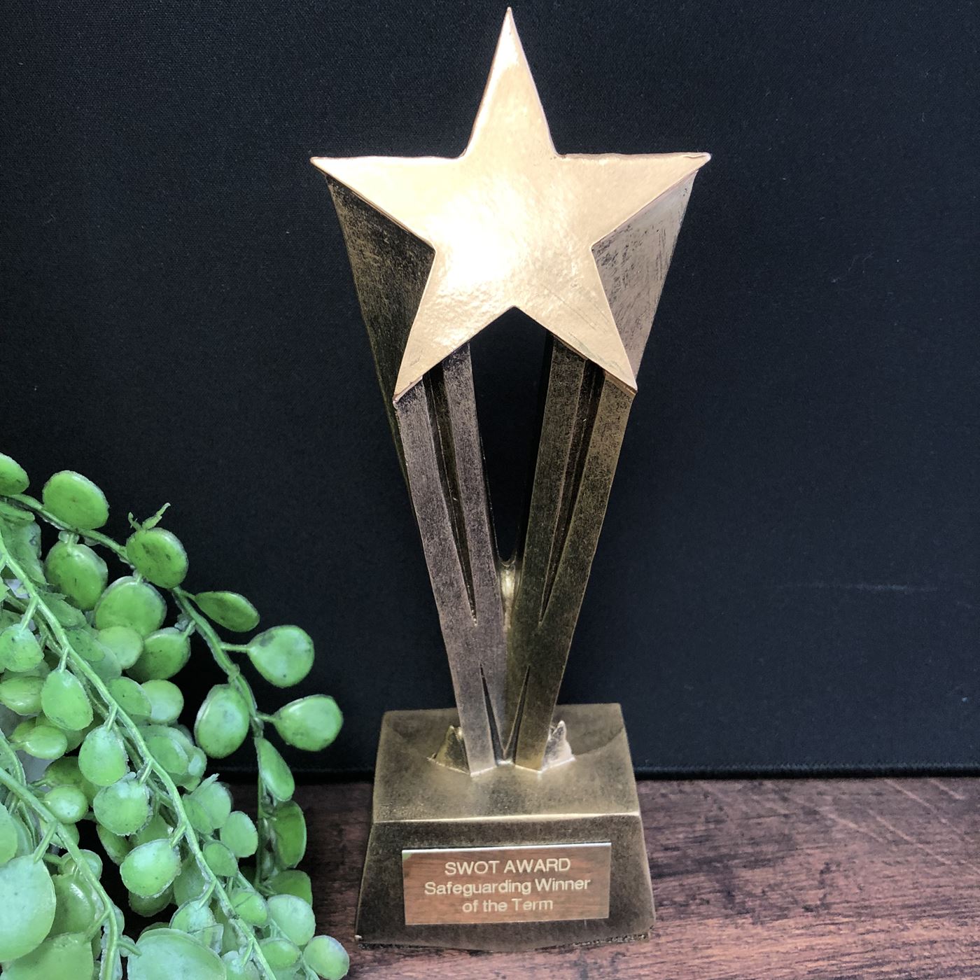 Gold Shooting Star Trophy Achievement Award