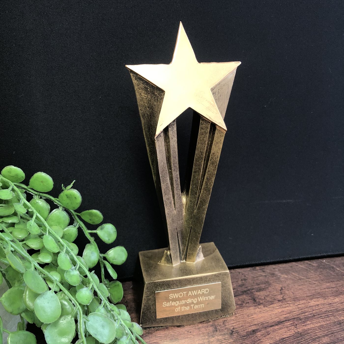 Gold Shooting Star Trophy Achievement Award