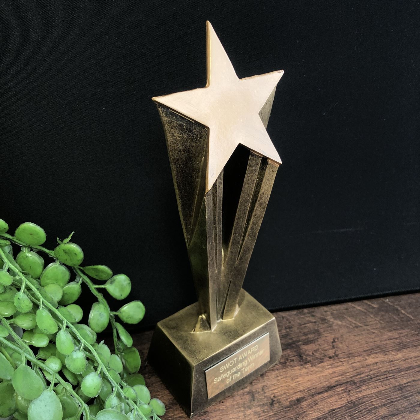 Gold Shooting Star Trophy Achievement Award