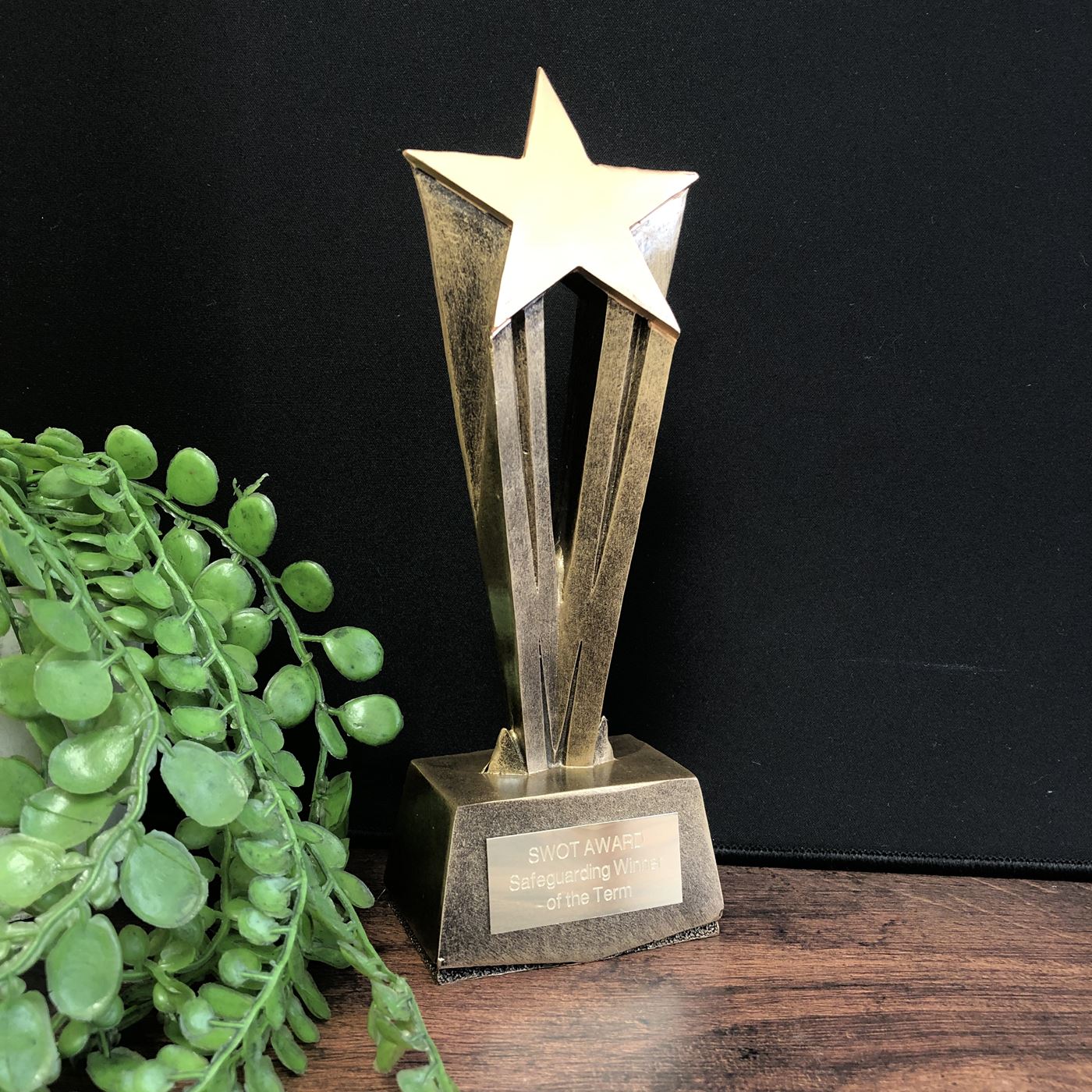 Gold Shooting Star Trophy Achievement Award