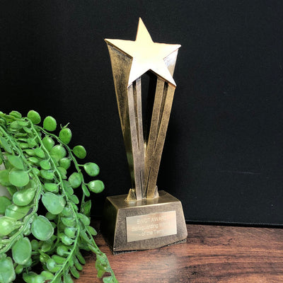 shooting star multi trophy award