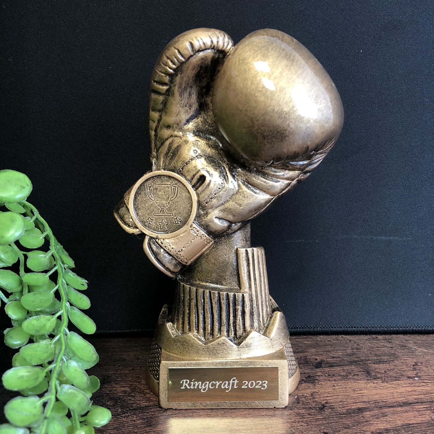 Apex Boxing Glove Trophy