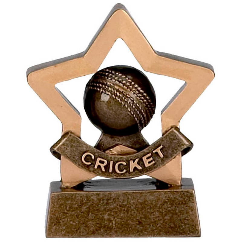 Cricket Mini Star Trophy Award