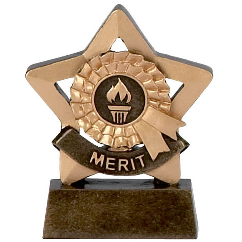 mini star trophy award merit