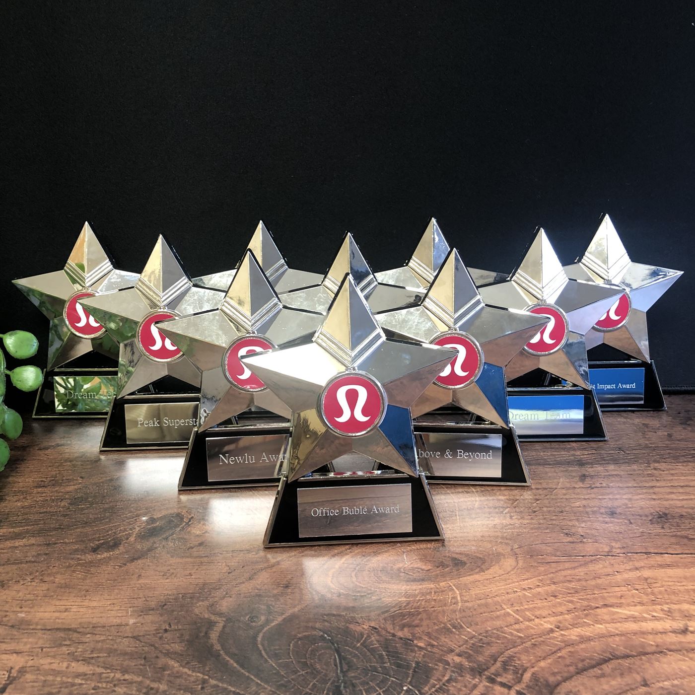 budget cast metal star plaque award bronze silver gold