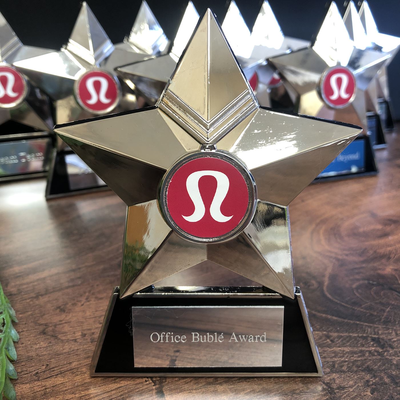 budget cast metal star plaque award bronze silver gold