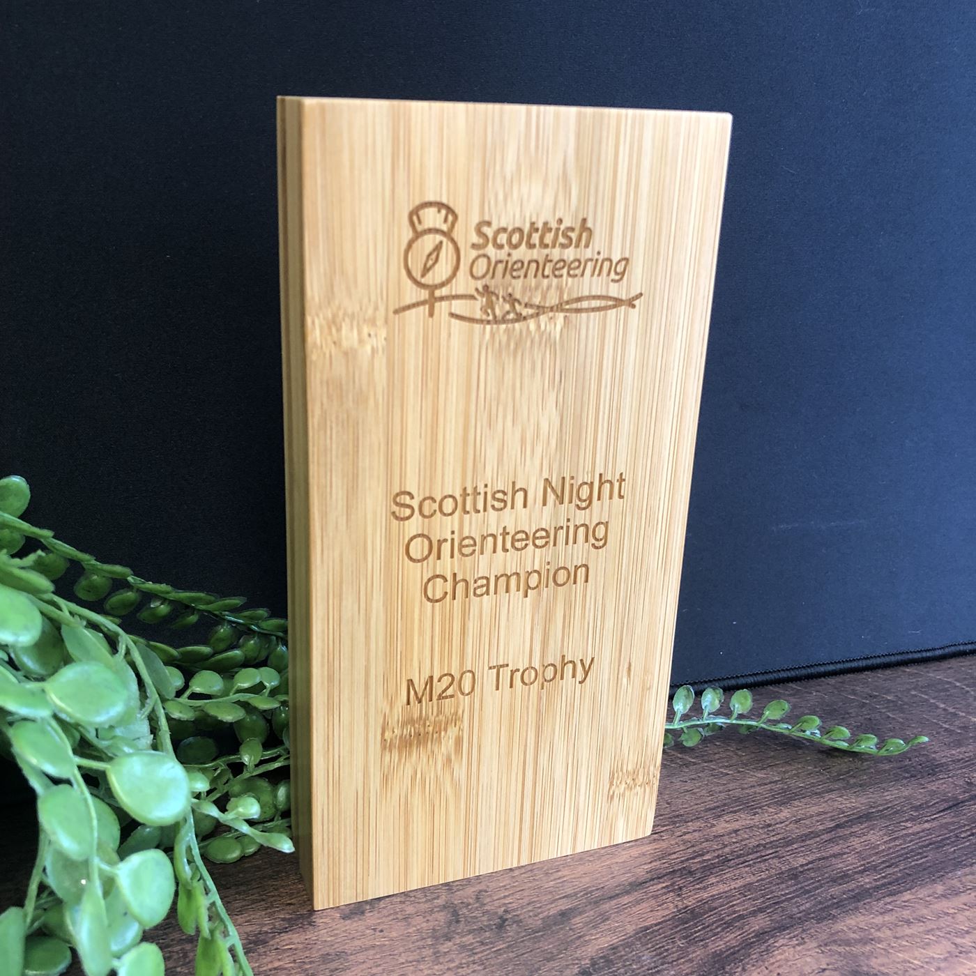 Bamboo Wooden Block Award Large Laser Engraved