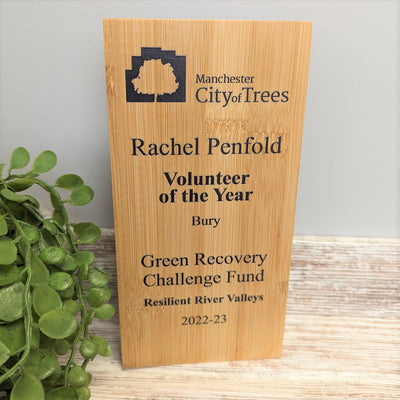 Copy Of Bamboo Wooden Block Award 1