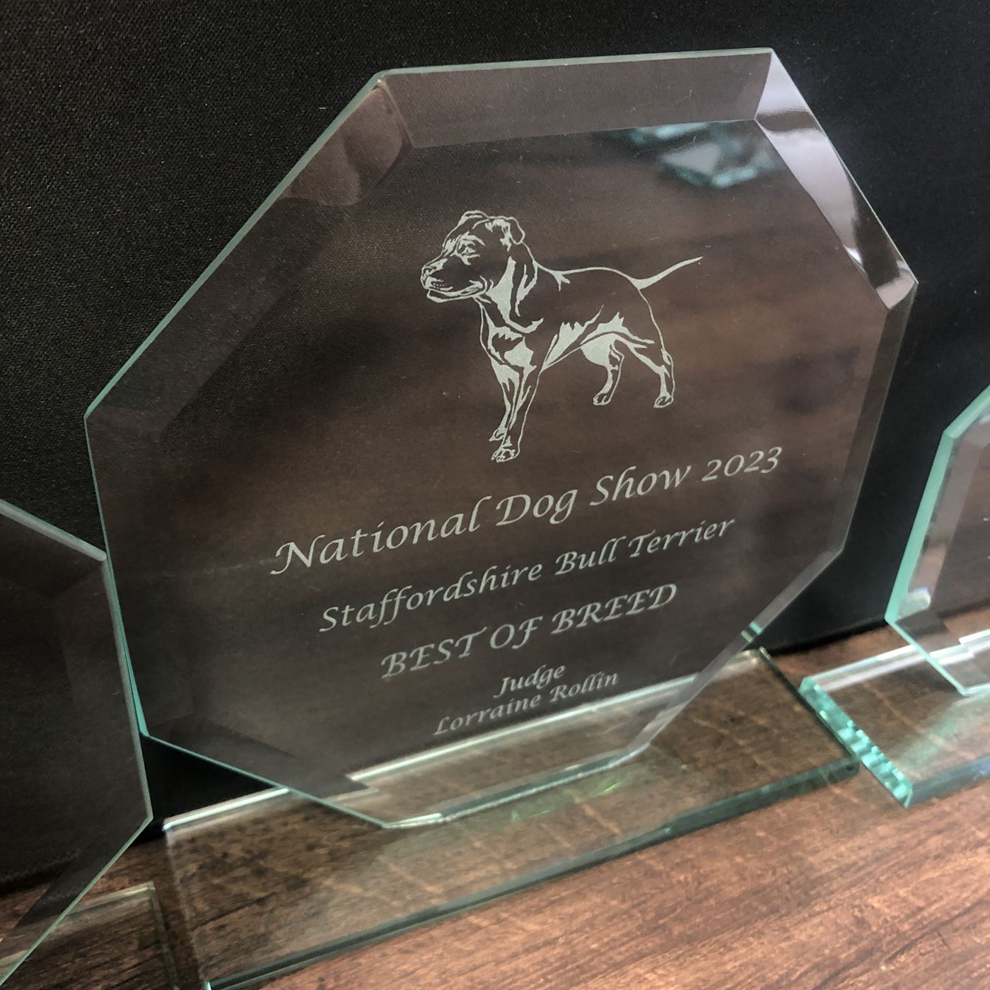 Jade Oblivion Crystal Glass Award Trophy