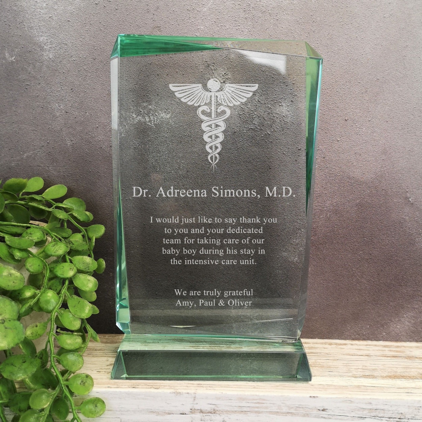 Renegade Jade Crystal Doctor With Caduceus Award 1