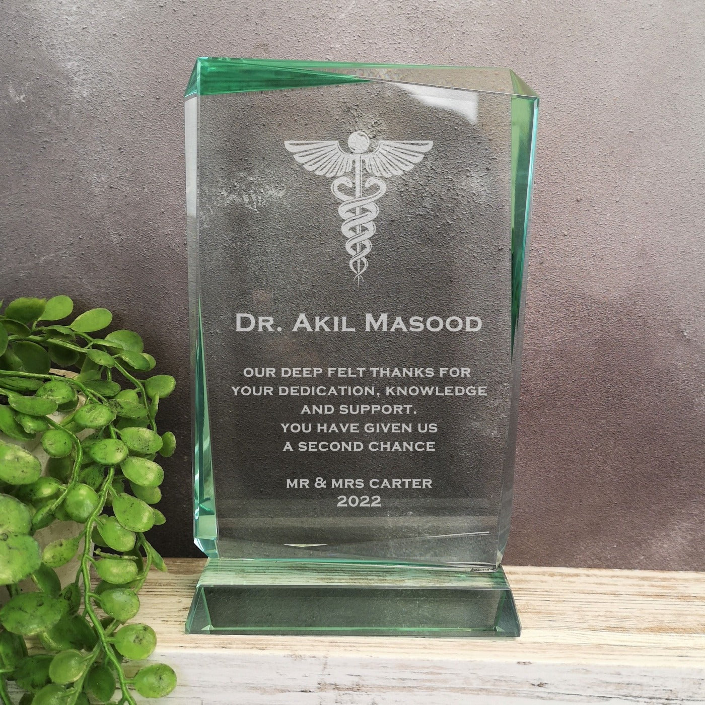 Renegade Jade Crystal Doctor With Caduceus Award 1