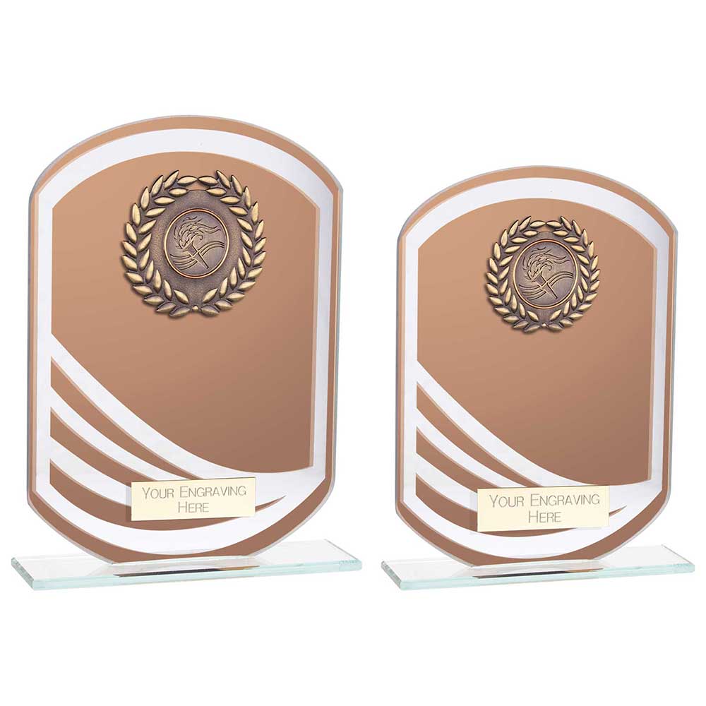 Argon Glass Award in Bronze