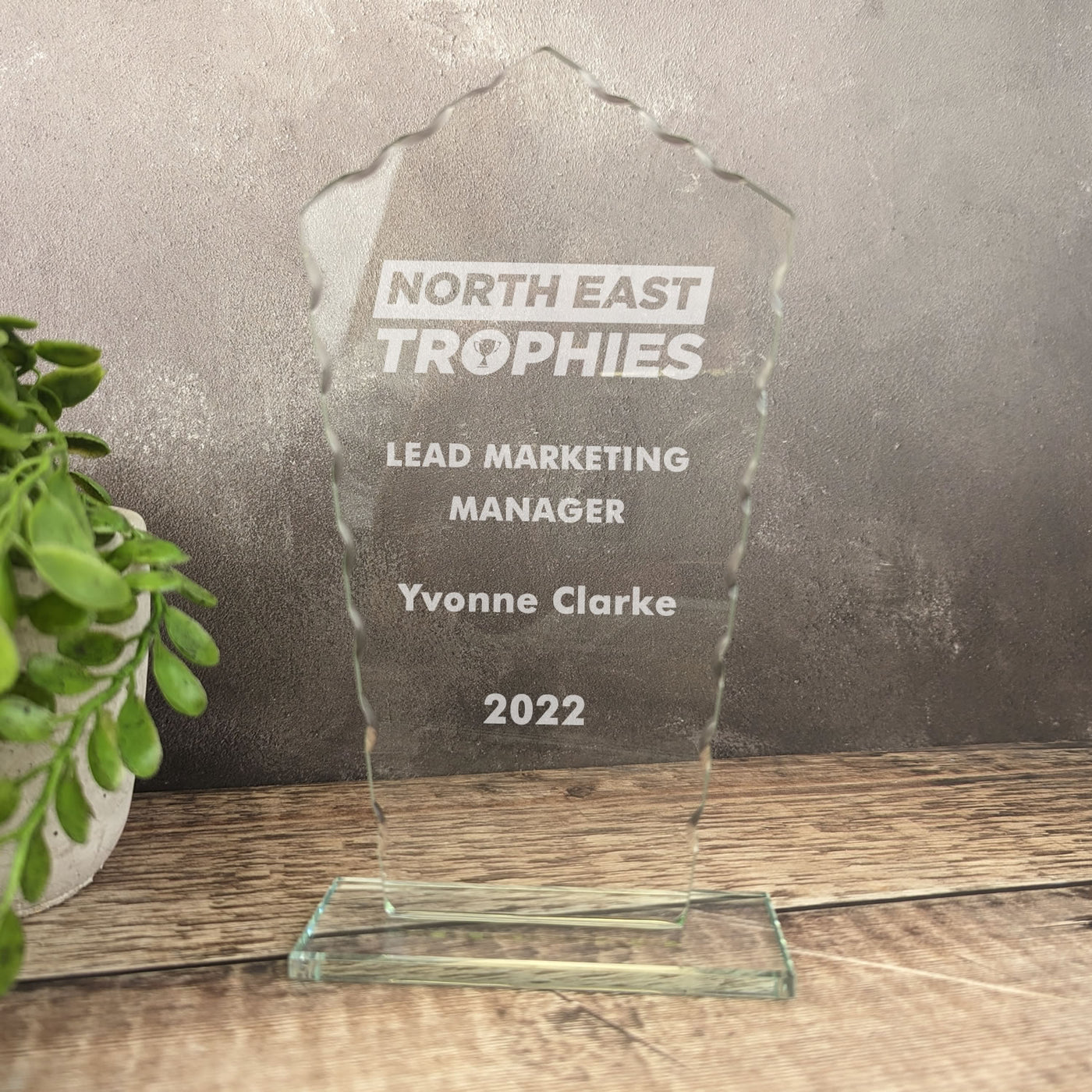Jade Defender Glass Award