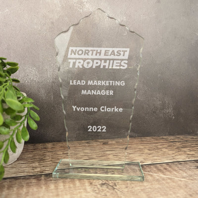 Jade Defender Glass Award