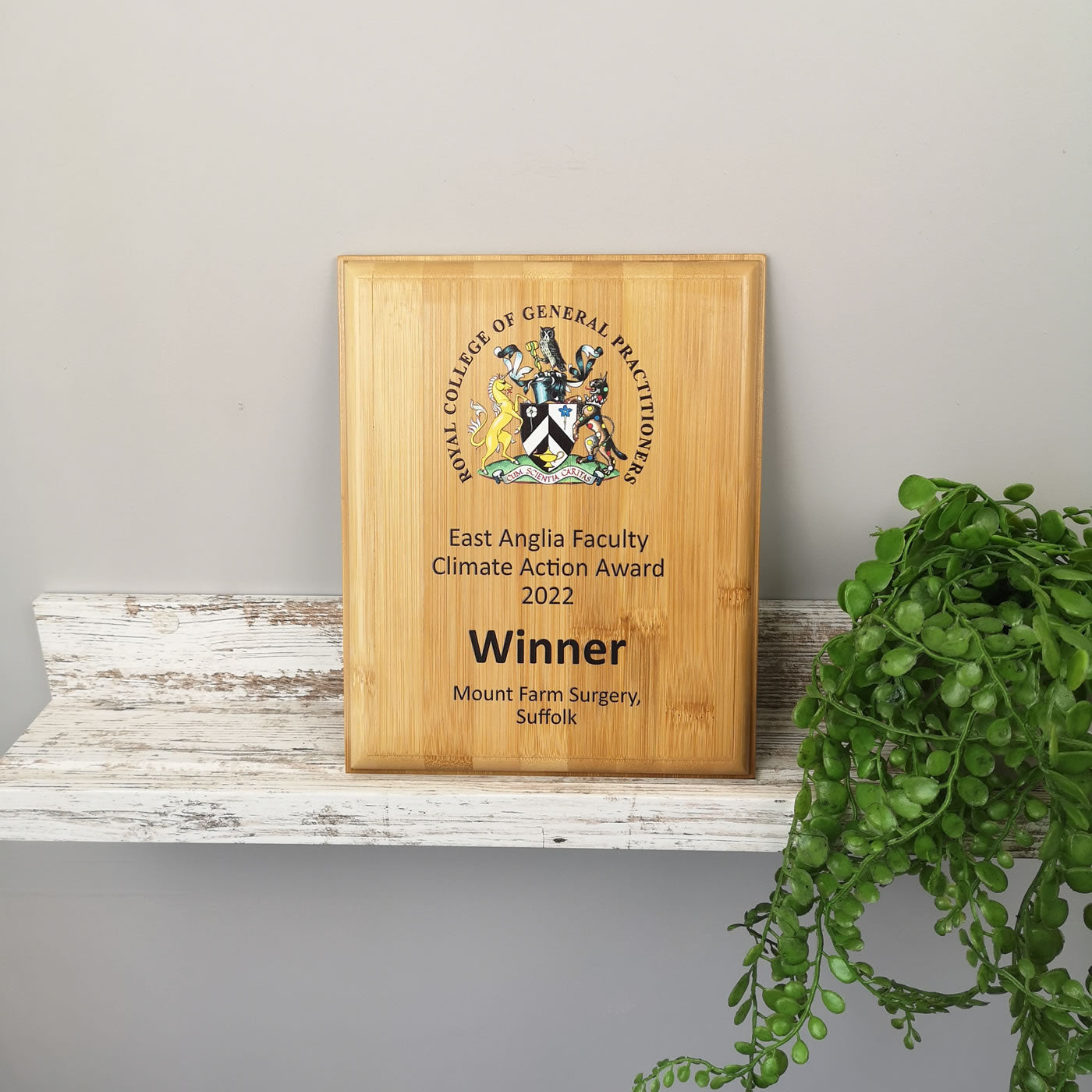 Bamboo Wooden Plaque Award Trophy - Colour Printed