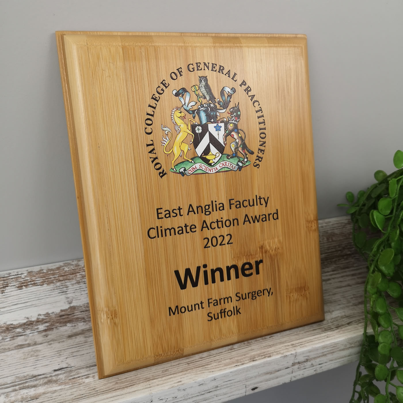 wooden bamboo plaque award trophy