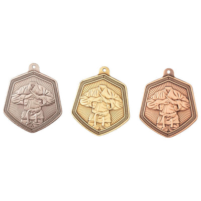 Martial Arts Medal Falcon Award