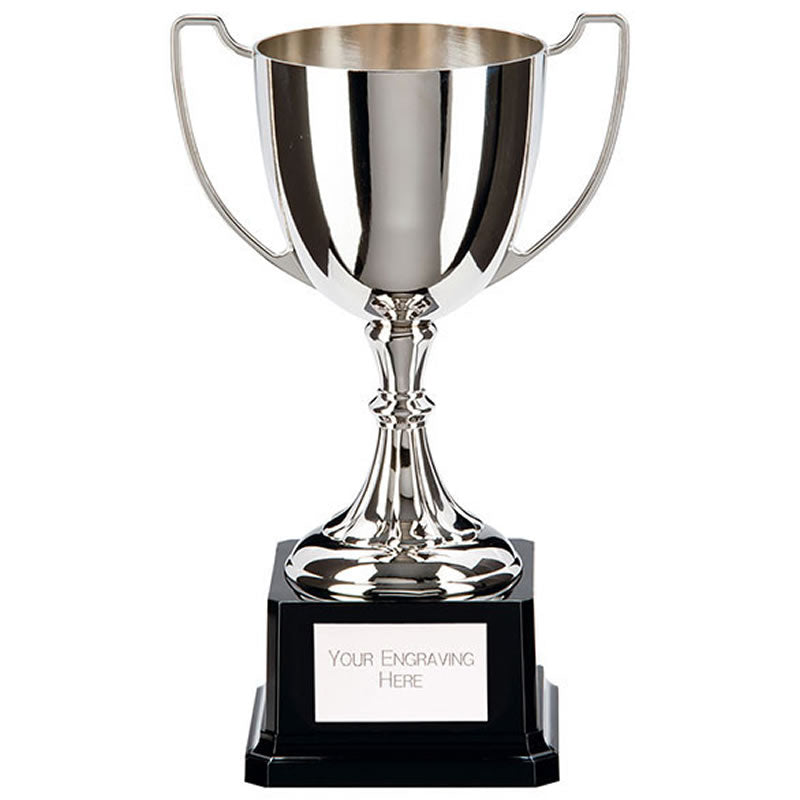 Silver Cast Metal Recognition Trophy Cup