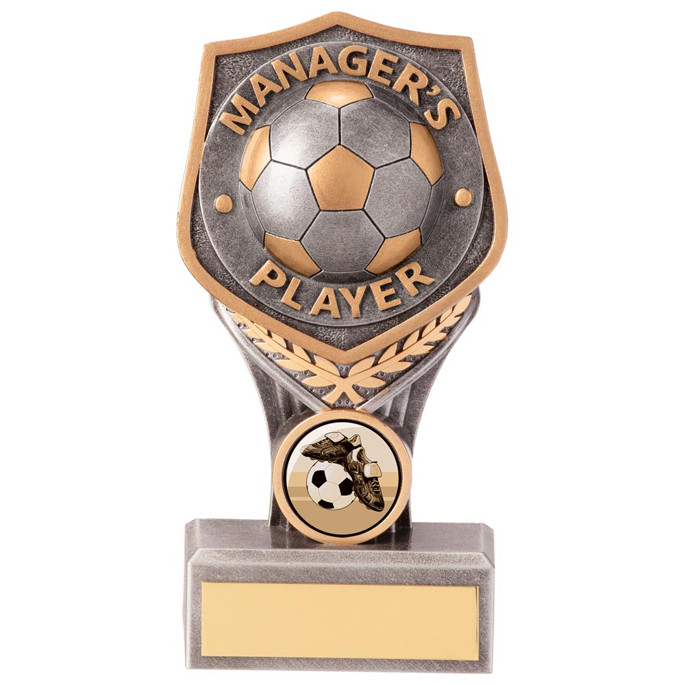 Football Trophy Manager's Player Falcon Award
