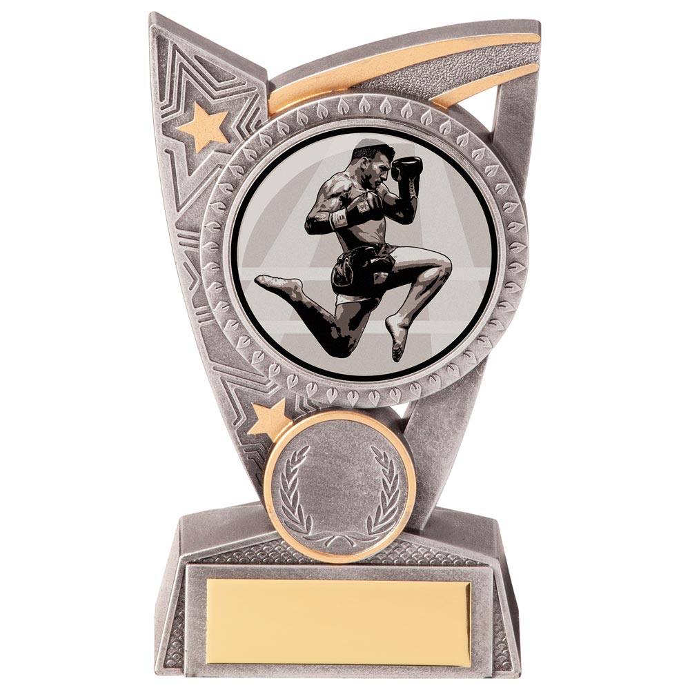 Kickboxing Award Triumph Trophy