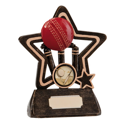 Little Star Kids Cricket Trophy