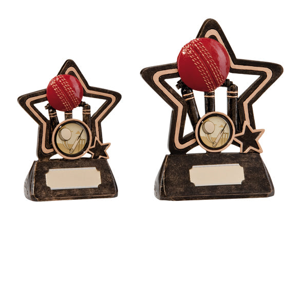Little Star Kids Cricket Trophy