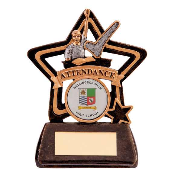 Little Star Attendance Award Trophy