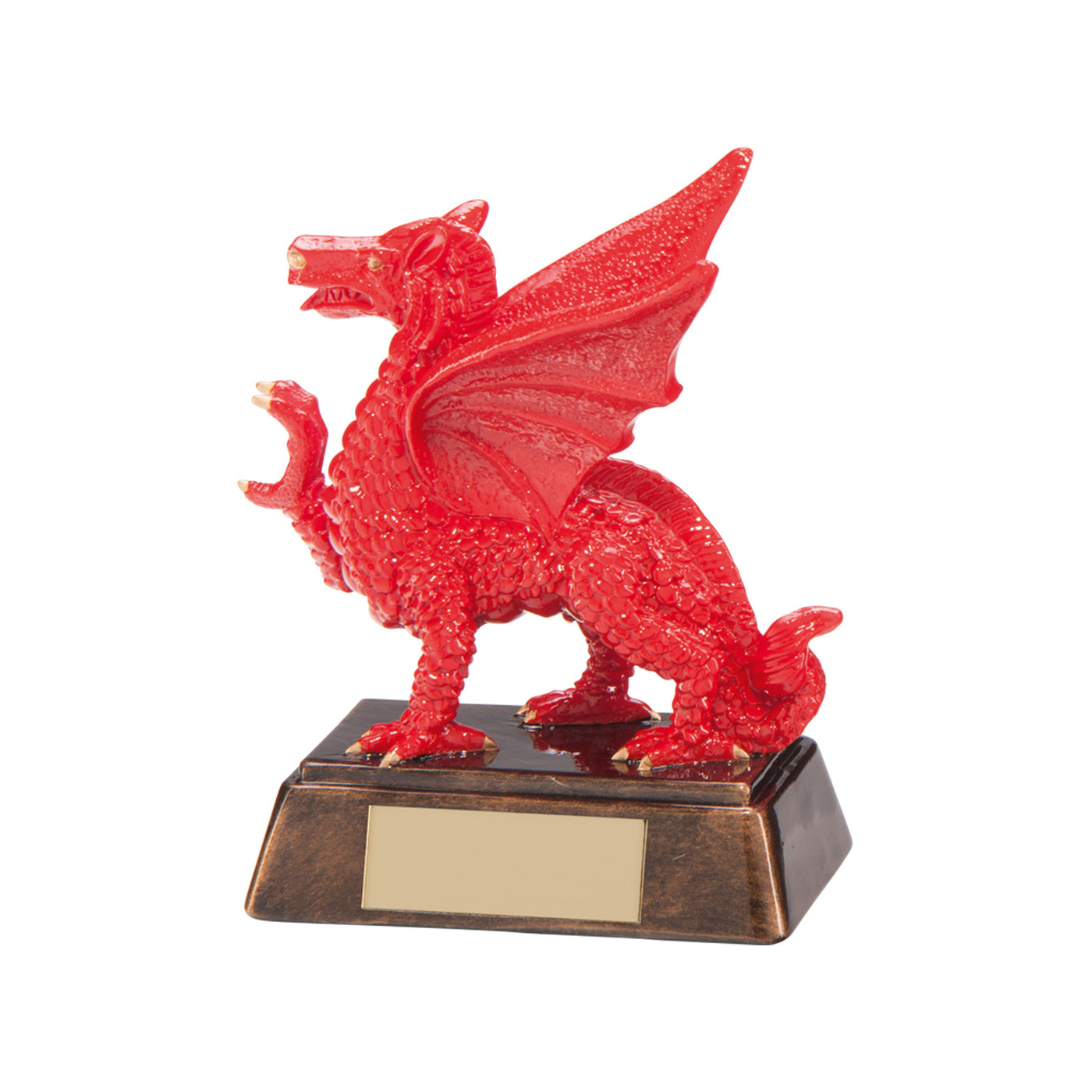 Celtic Dragon Rugby Award