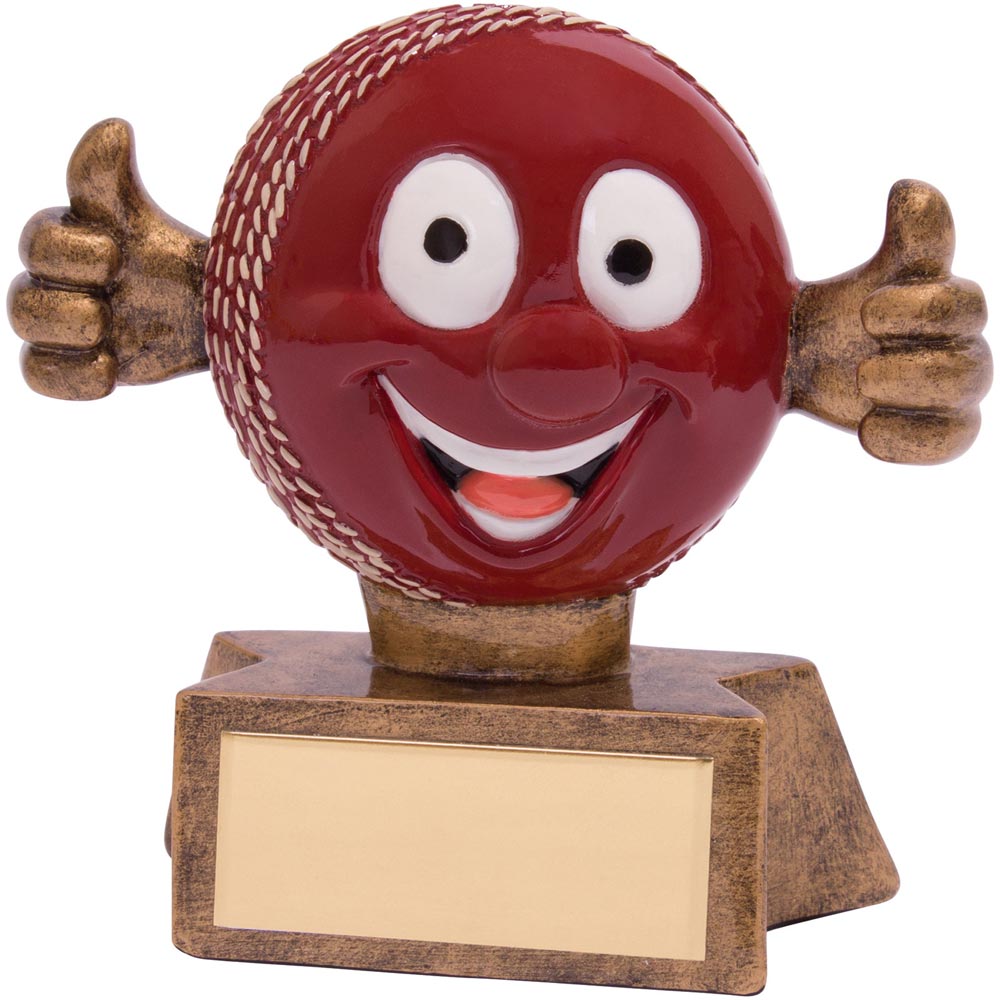 Smiler Ball Cricket Award