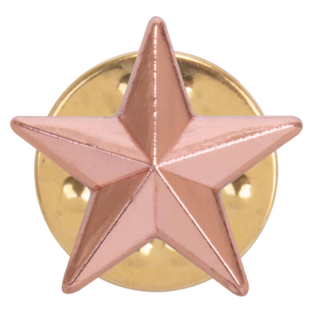 3D Bronze Star Pin Badge