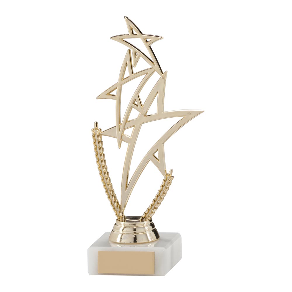 Rising Star Multisport Gold Trophy