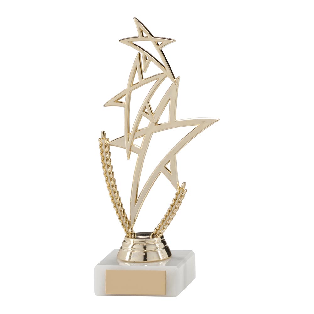 Rising Star Multi-Sport Gold Trophy