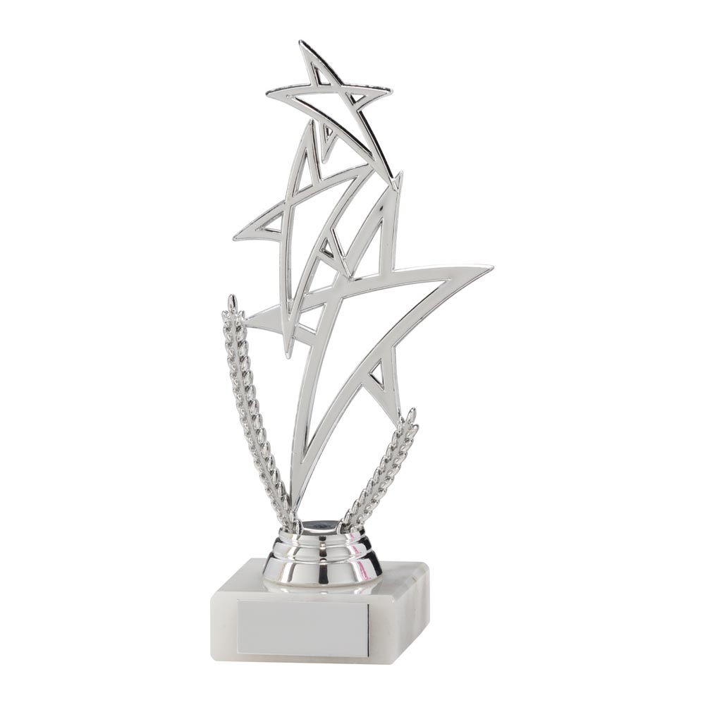 Rising Star Multi-Sport Gold Trophy