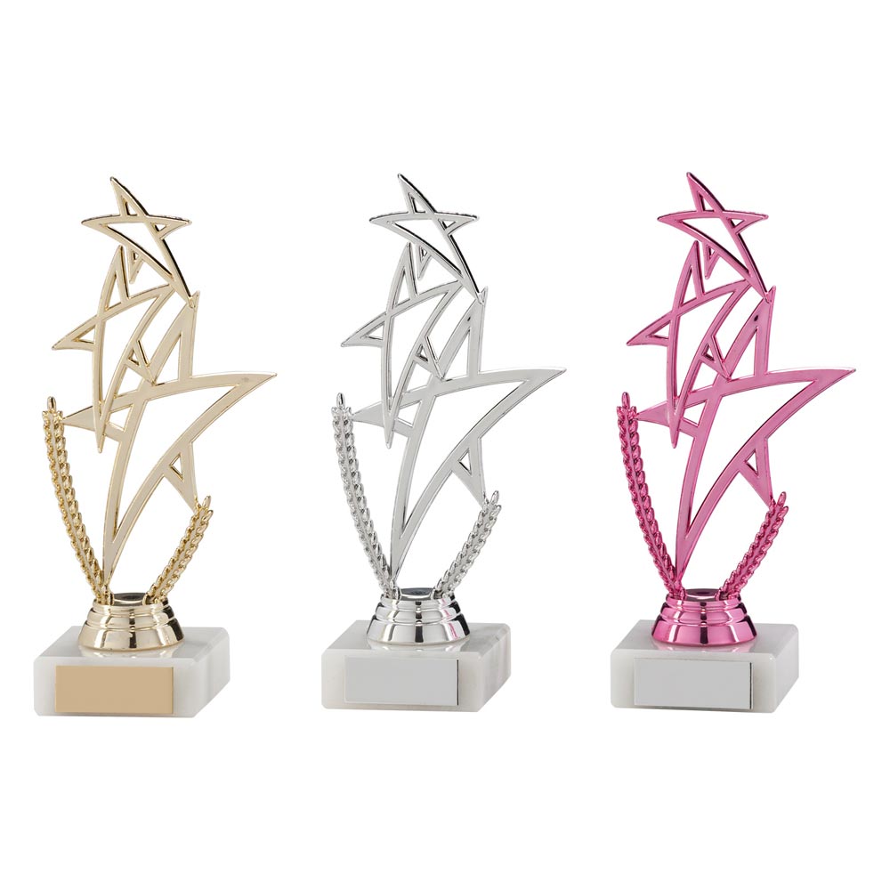Rising Star Multisport Gold Trophy
