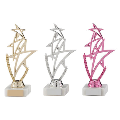 Rising Star Multisport Gold Trophy