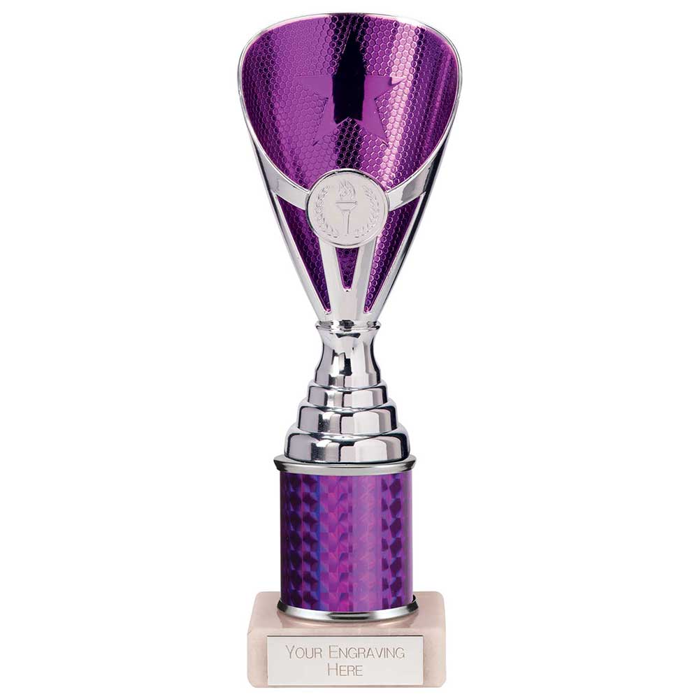 Rising Stars Plastic Trophy in Purple