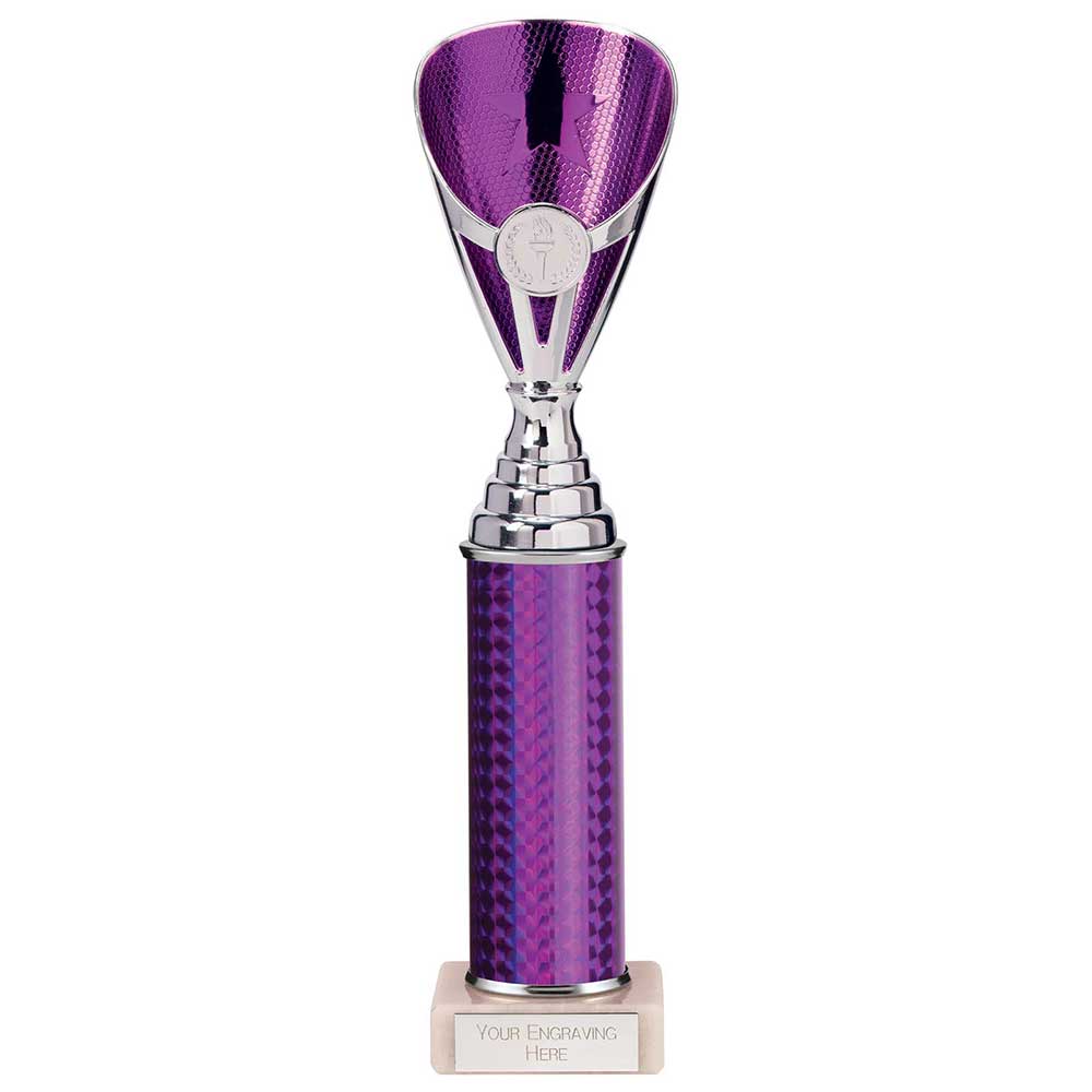 Rising Stars Plastic Trophy Purple