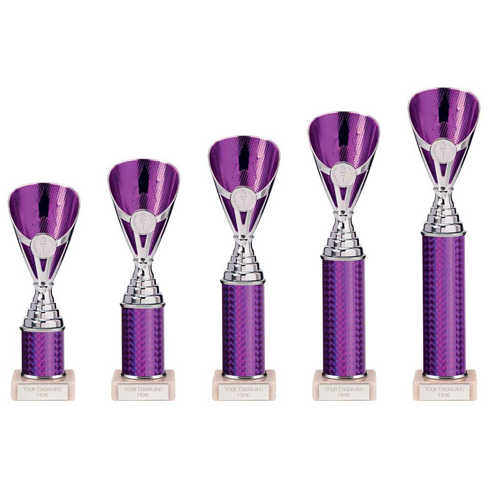 Rising Stars Plastic Trophy in Purple