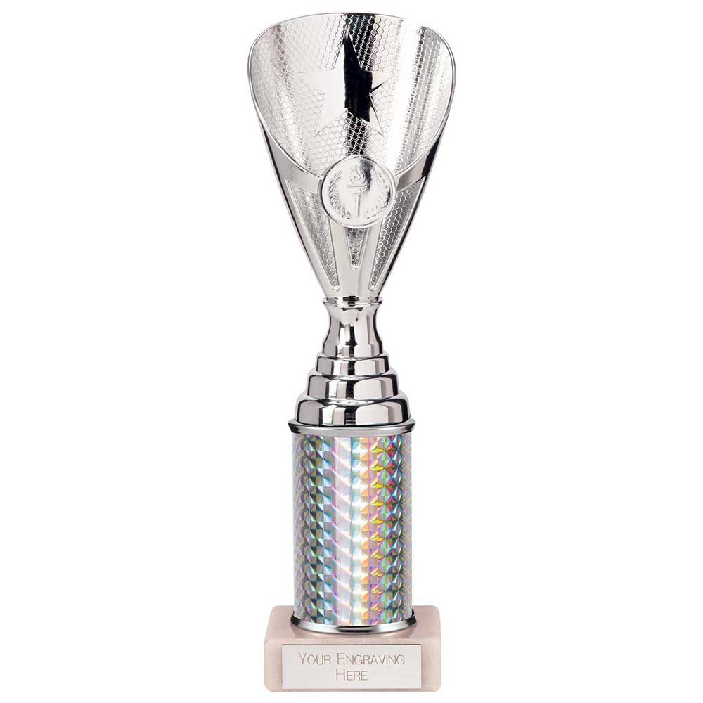 Rising Stars Plastic Trophy in Silver