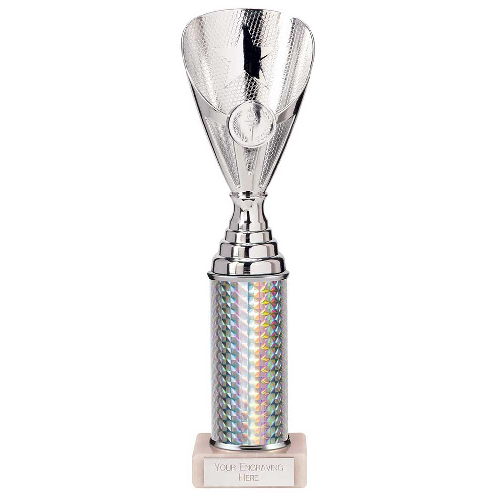 Rising Stars Plastic Trophy Silver