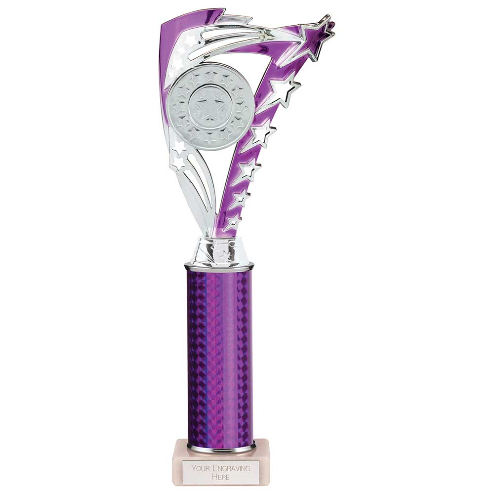Frenzy Multisport Tube Trophy - Silver & Purple