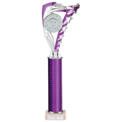 Frenzy Multisport Tube Trophy - Silver & Purple