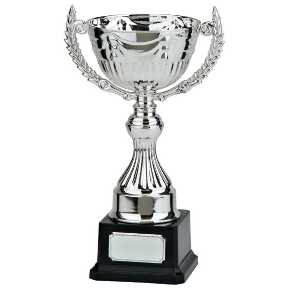 Endeavour Trophy Cup - Silver