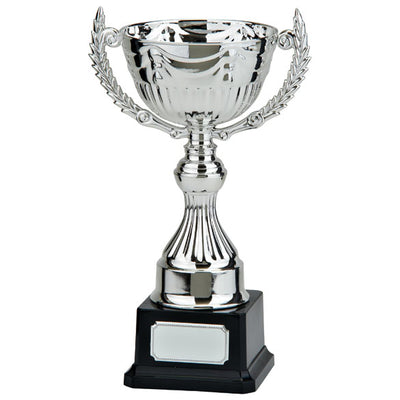 Endeavour Silver Trophy Cup