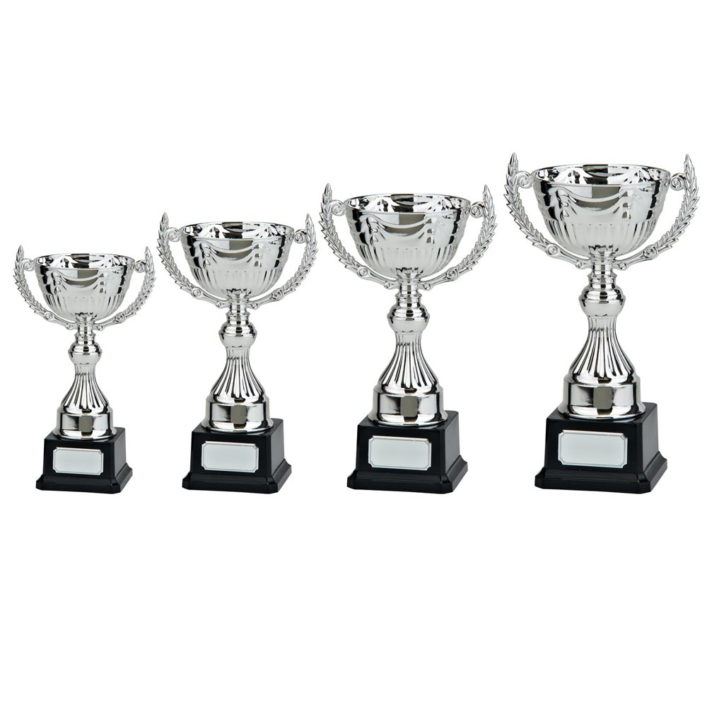 Endeavour Silver Trophy Cup