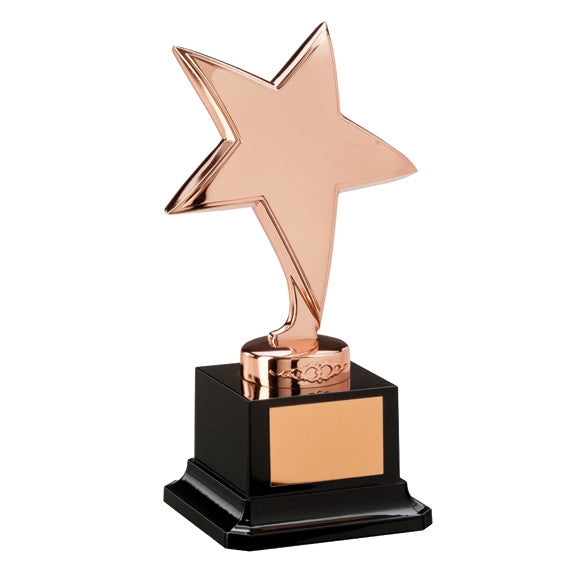 The Challenger Star Bronze Trophy Award