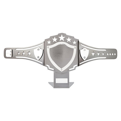 Champion Boxing Belt Award Trophy