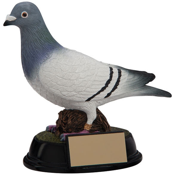 Pigeon Racing Trophy Elite Award