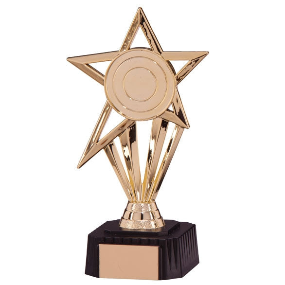 Gold Star Trophy Award